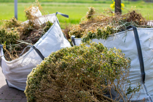 Best Same-Day Junk Removal  in West Pelzer, SC